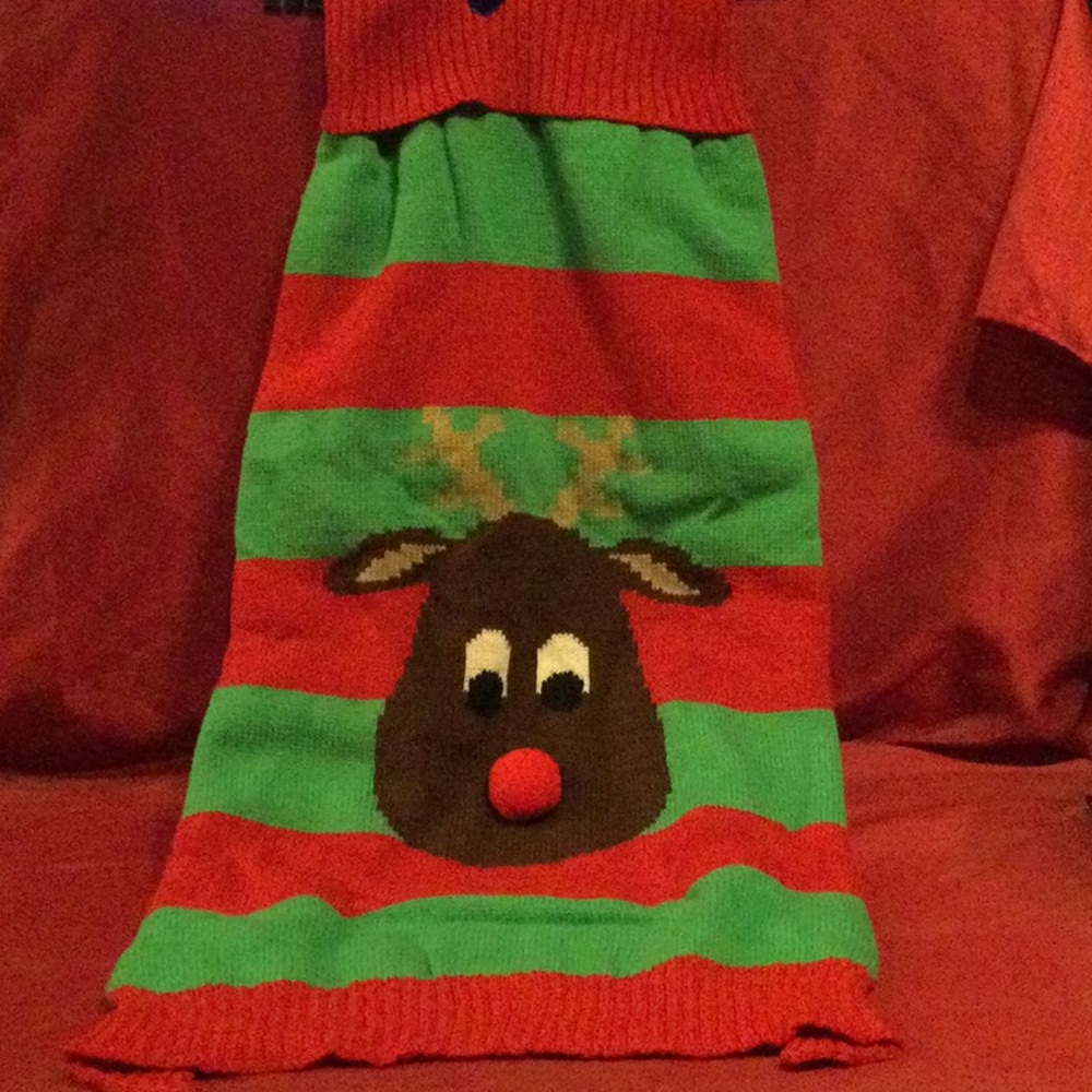 Festive Turtleneck Dog Sweater